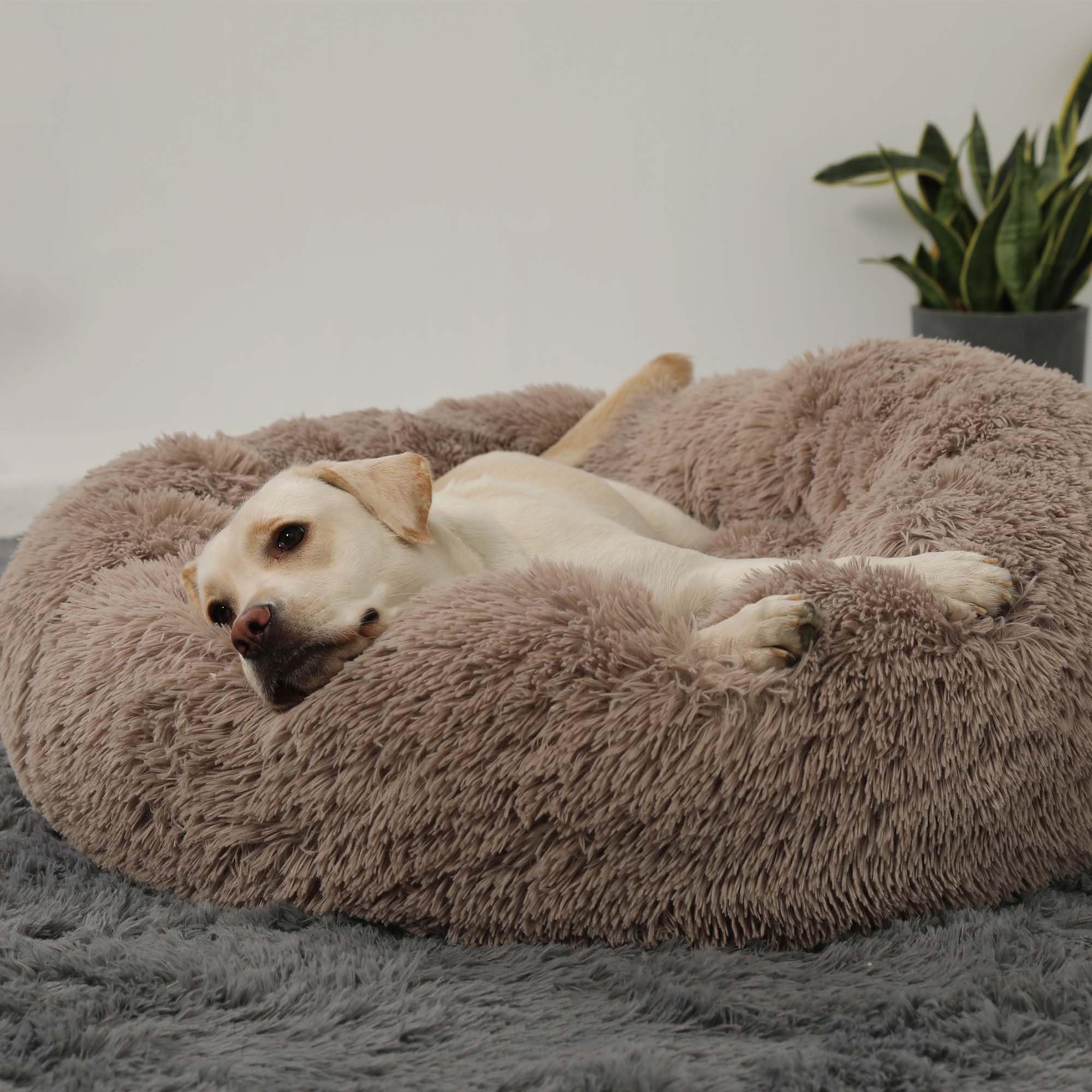 HACHIKITTY calming donut bed washable cover for easy care and clean sleeping space.