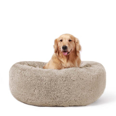 HACHIKITTY Calming Donut Cuddler front view shows plush cozy round bed for curling up.