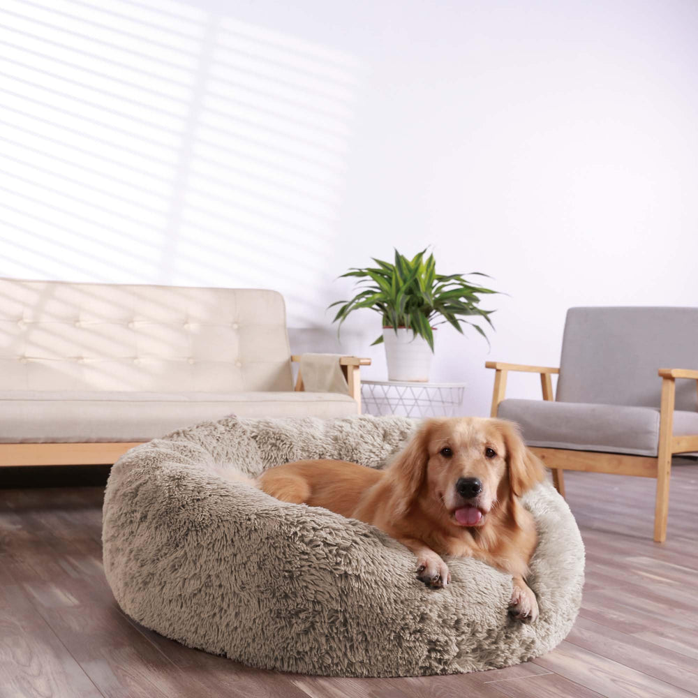 HACHIKITTY Calming Donut Cuddler 36-inch size provides cozy warmth for cold days.