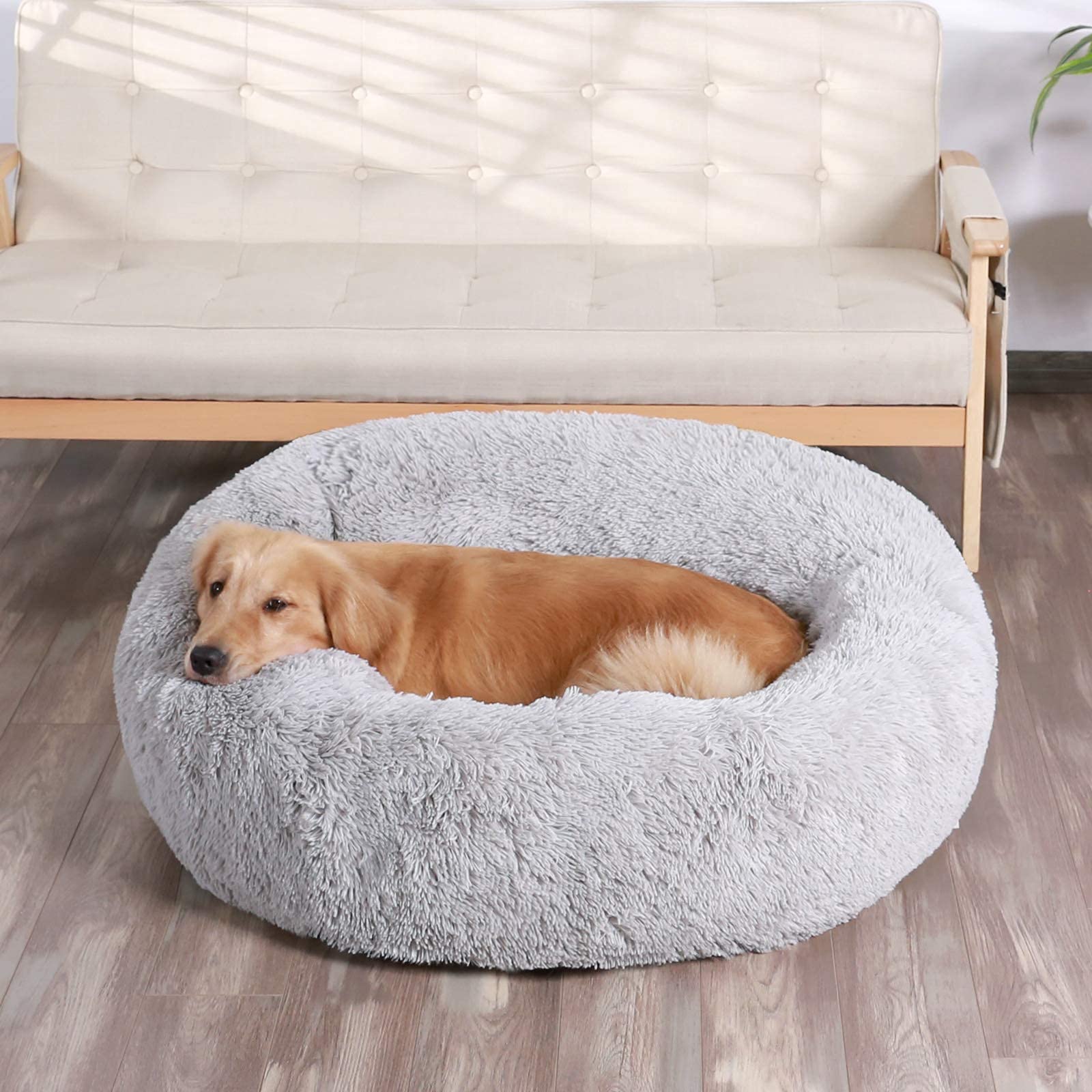 HACHIKITTY Calming Donut Cuddler XL full bed in living room setup for indoor use