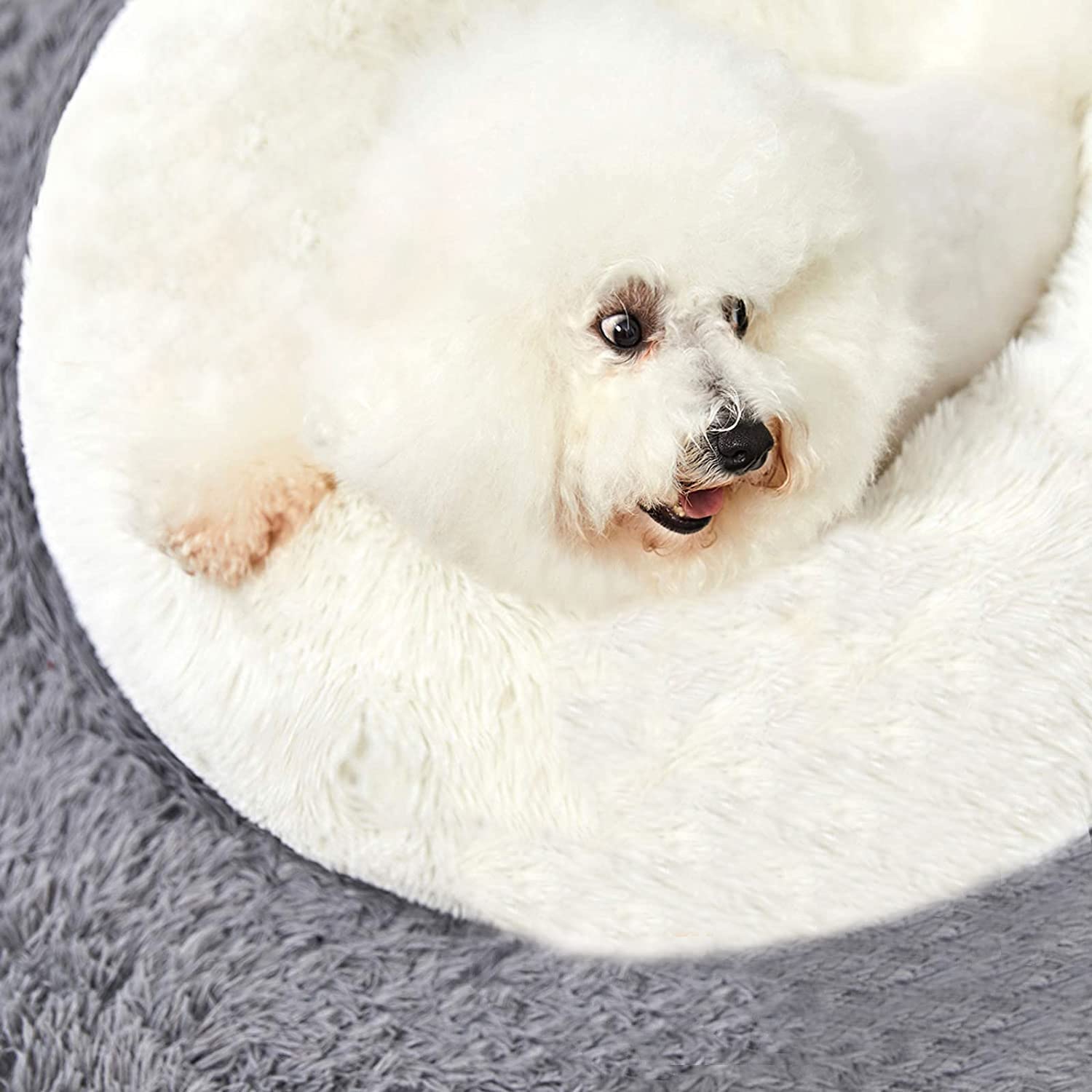 HACHIKITTY Machine-washable dog bed image emphasizes easy cleaning after messes.