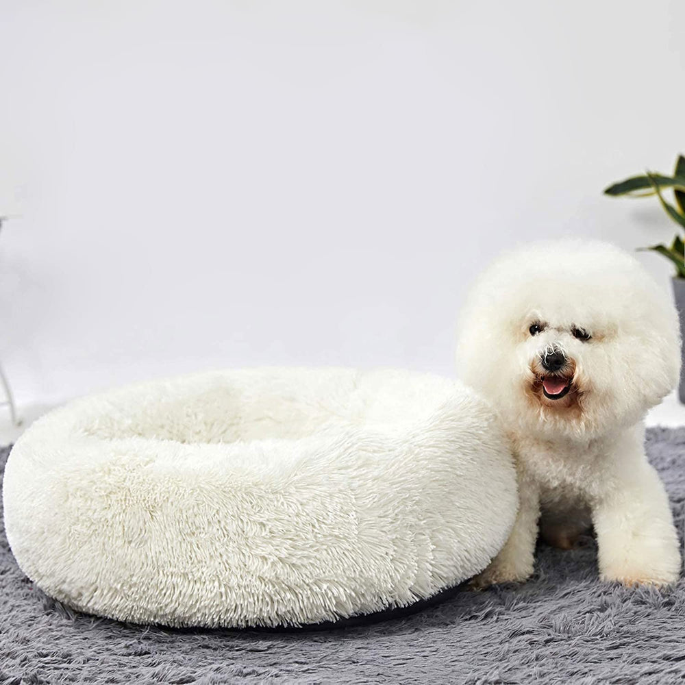 HACHIKITTY Vacuum-packed packaging transformation shows quick fluff to shape.