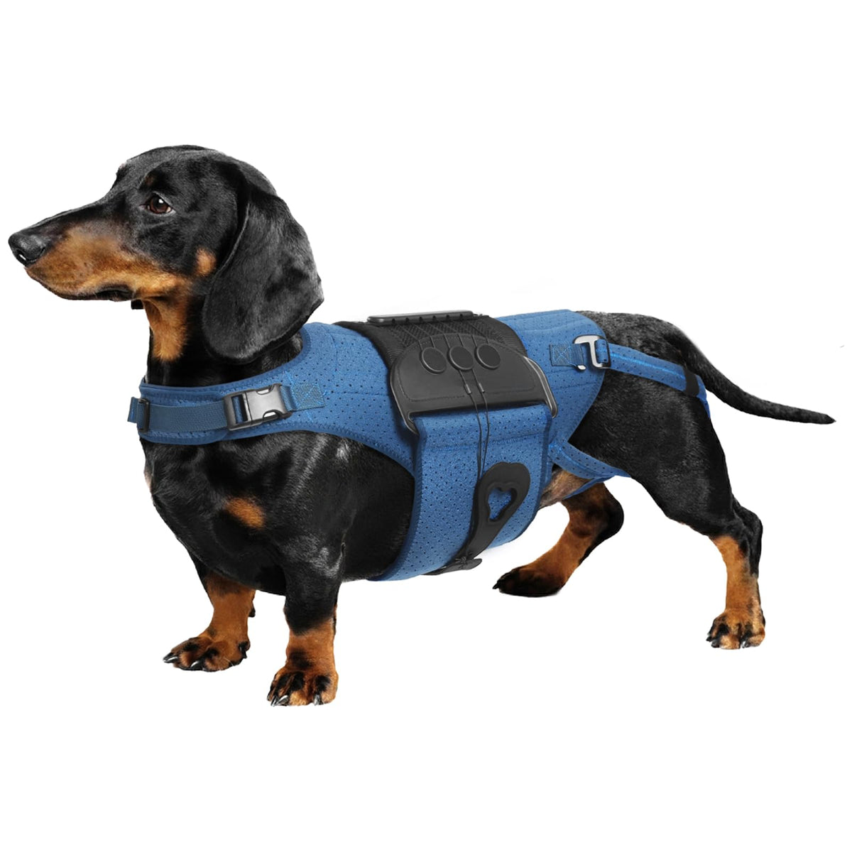 HAGGEMI dog back brace back support bars stabilize the spine during daily activity