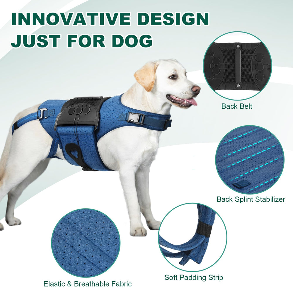 HAGGEMI dog back brace breathable SBR fabric keeps dogs comfortable in any weather