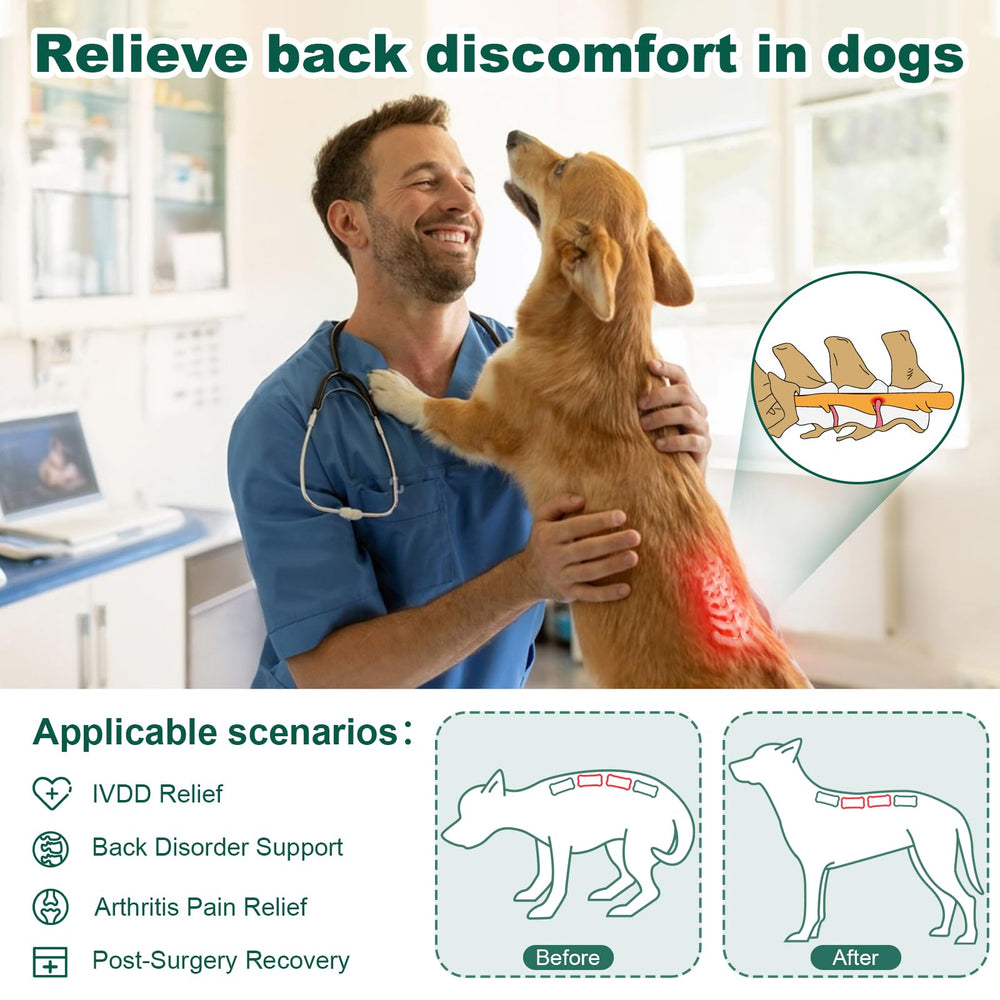 HAGGEMI dog back brace dual strap pulley system customizes fit for secure wear