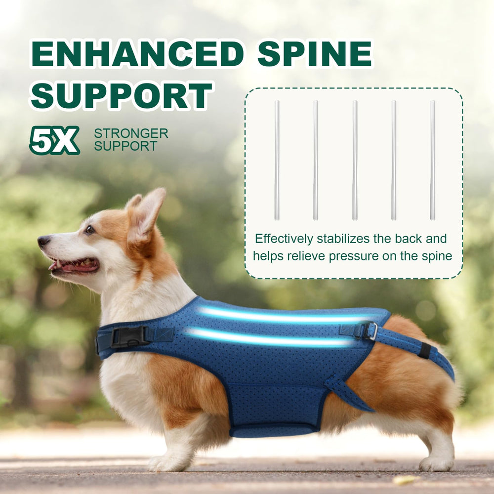 HAGGEMI dog back brace elastic compression fabric helps reduce inflammation support