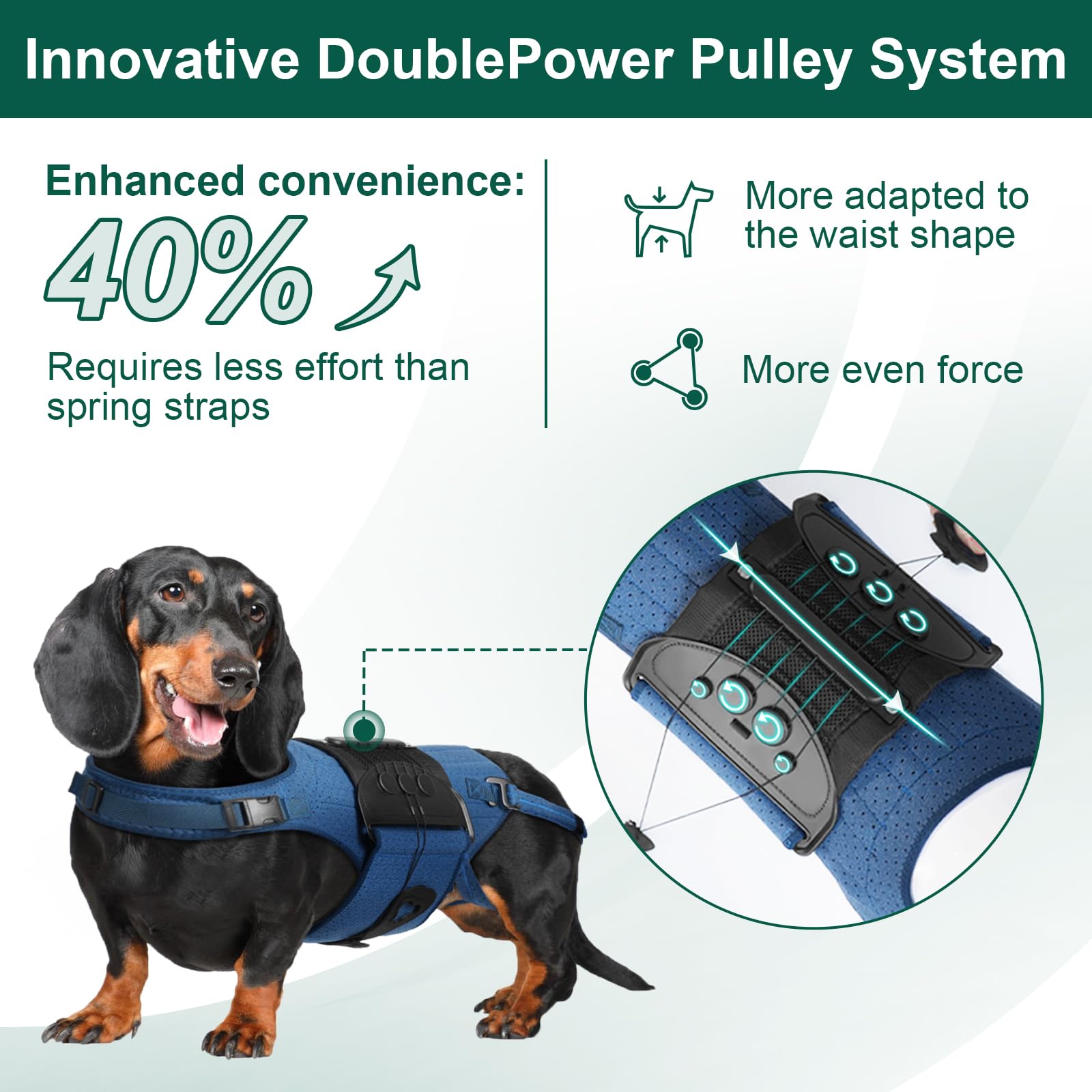 HAGGEMI dog back brace five-support-bars boost spine stability for IVDD