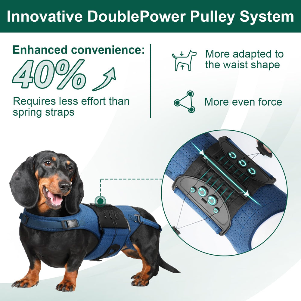 HAGGEMI dog back brace five-support-bars boost spine stability for IVDD