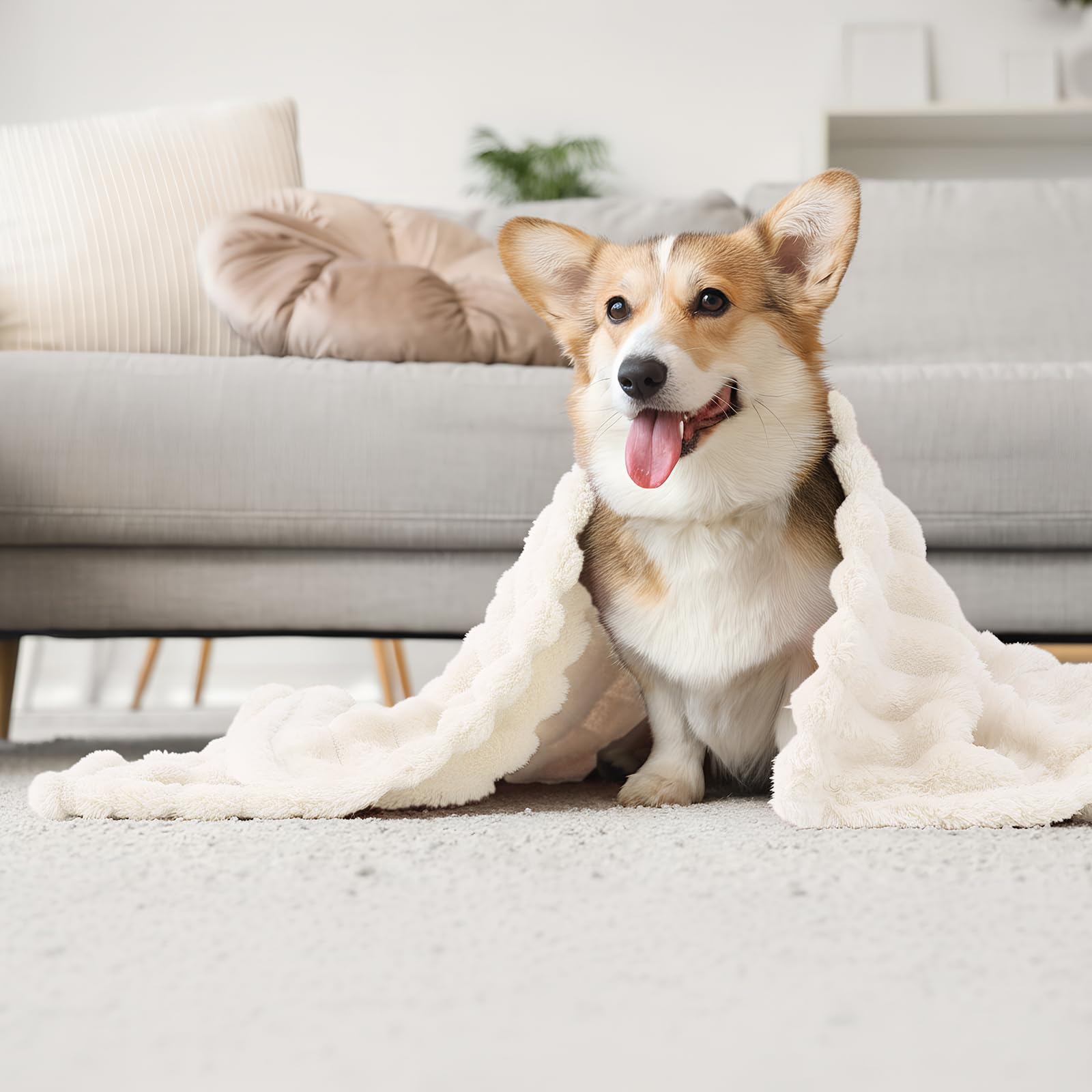 Hahafelt compact blankets pack for easy storage and travel warmth.