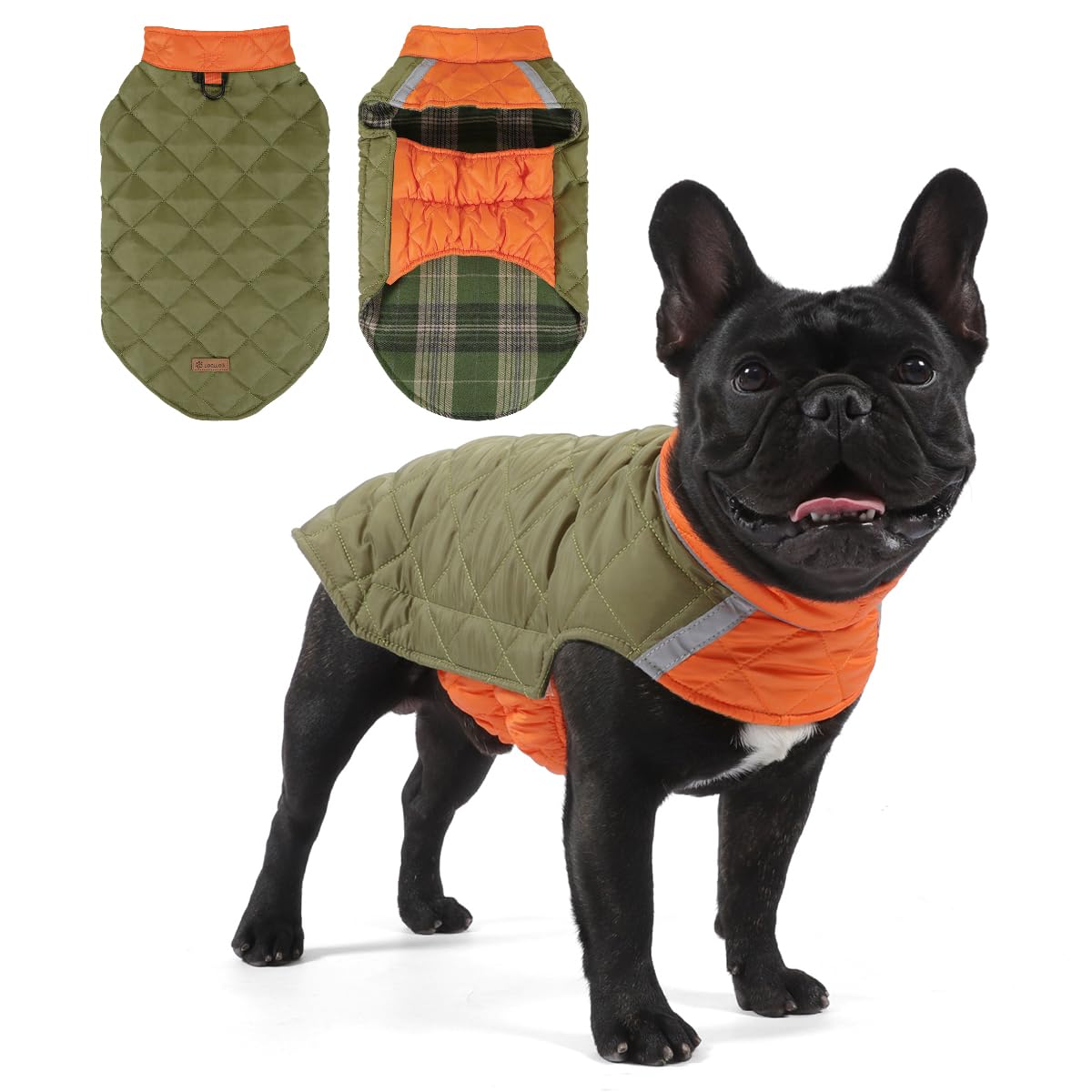 Hahbabya coat on dog during outdoor walk for weatherproof protection