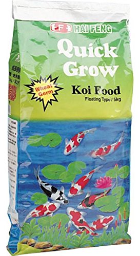 Hai Feng Quick Grow koi food in a bowl serving highlighting color and digestibility
