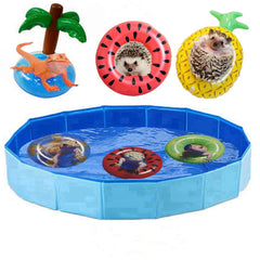 HAICHEN TEC foldable lizard pool setup for quick, portable cooling outdoors.