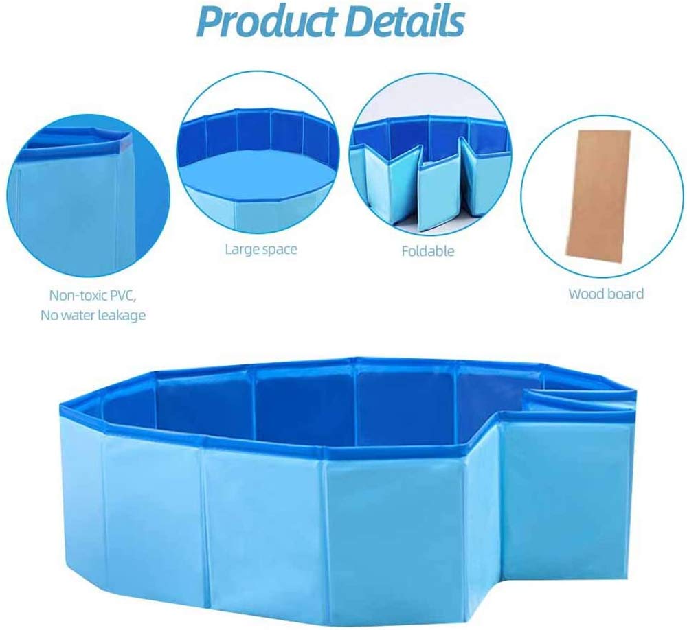 HAICHEN TEC lizard pool in use with bearded dragon for comfortable cooling soak.