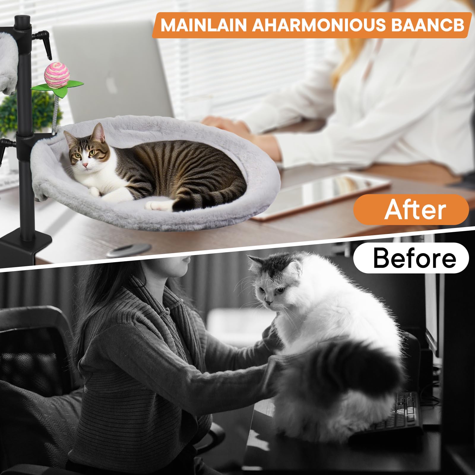 Haijunnm Double Cat Desk Bed height adjustment demonstrates flexible setup