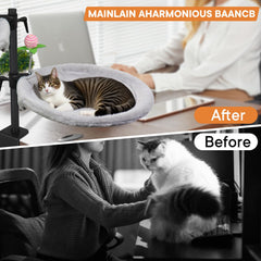 Haijunnm Double Cat Desk Bed height adjustment demonstrates flexible setup