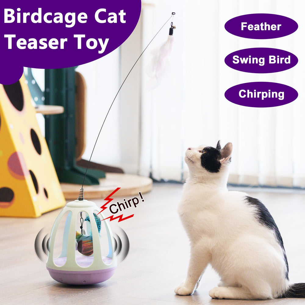 HAIPPILLY cat toy feather refill shows extra feather for extended play