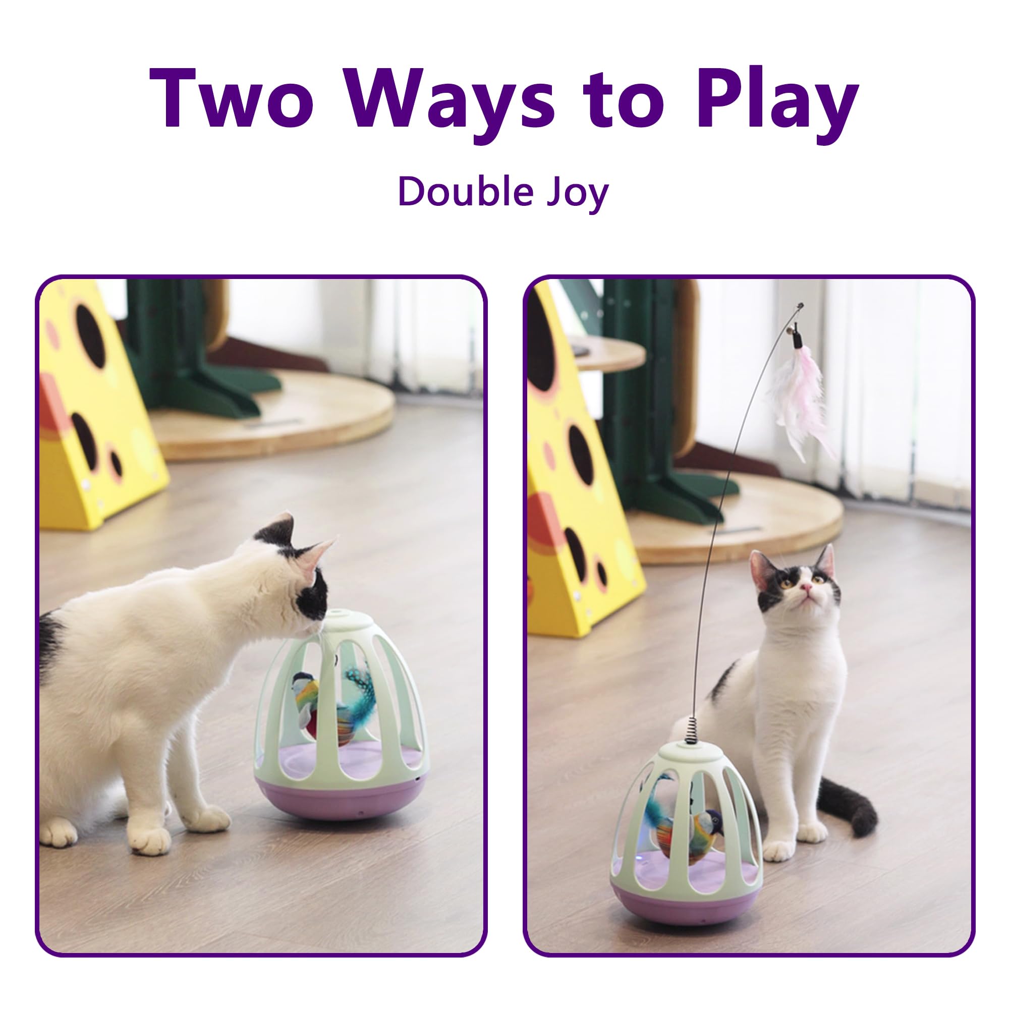 HAIPPILLY swinging bird motion engages hunting instincts during play