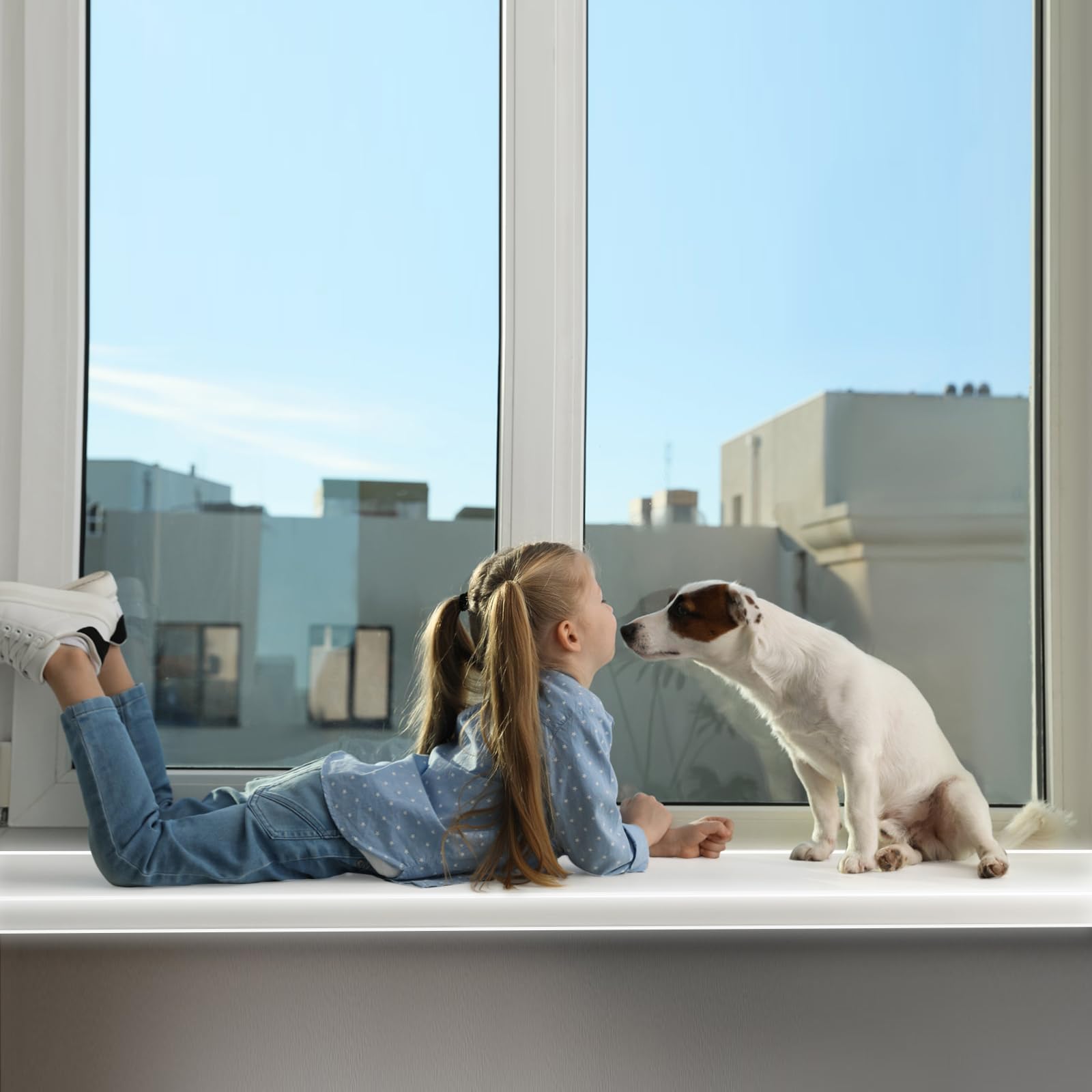 HALAGAS cat-scratch protection for window sills keeps surfaces intact.