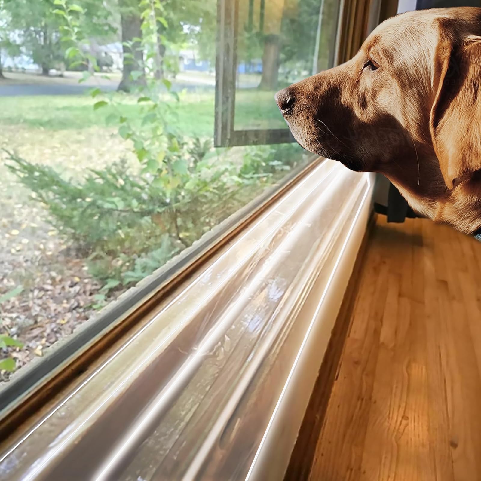 HALAGAS dog-scratch-proof window sill protector demonstrates barrier against claws.