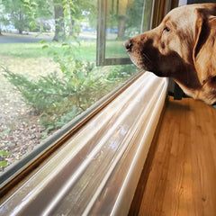 HALAGAS dog-scratch-proof window sill protector demonstrates barrier against claws.