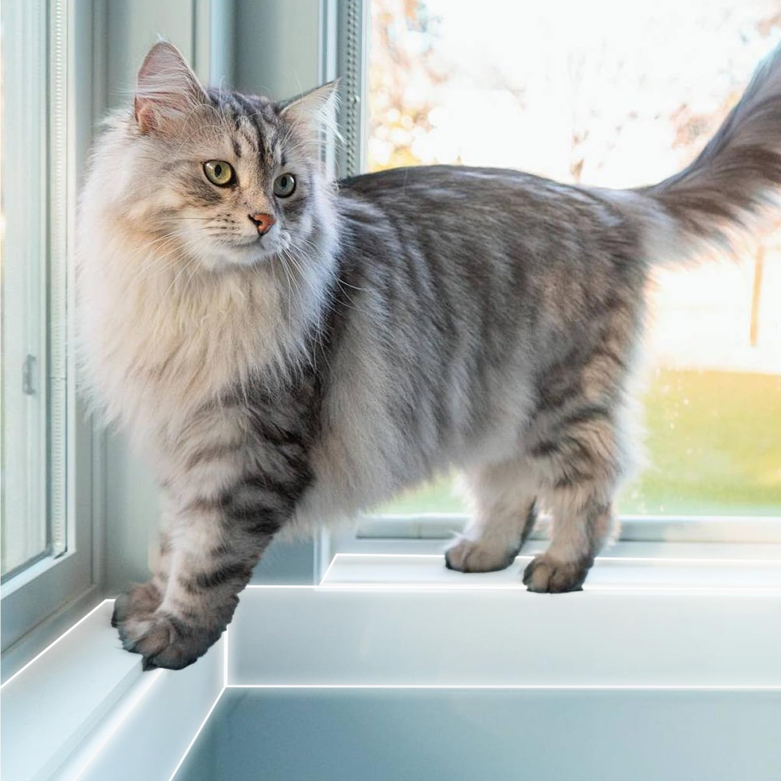 HALAGAS multi-surface protection for doors and furniture.