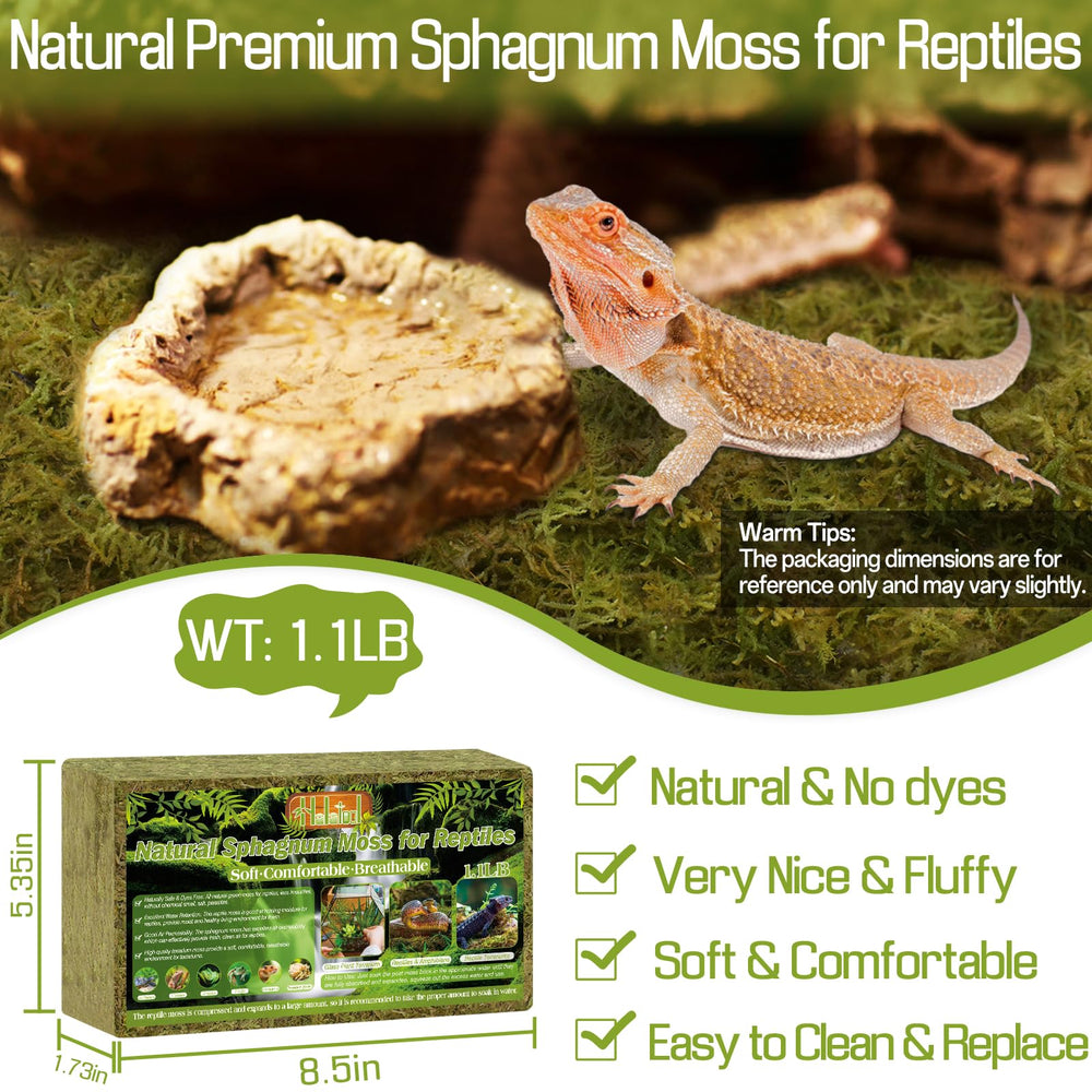 Halatool sphagnum moss brick expansion demonstrates water absorption for easy setup and humidification