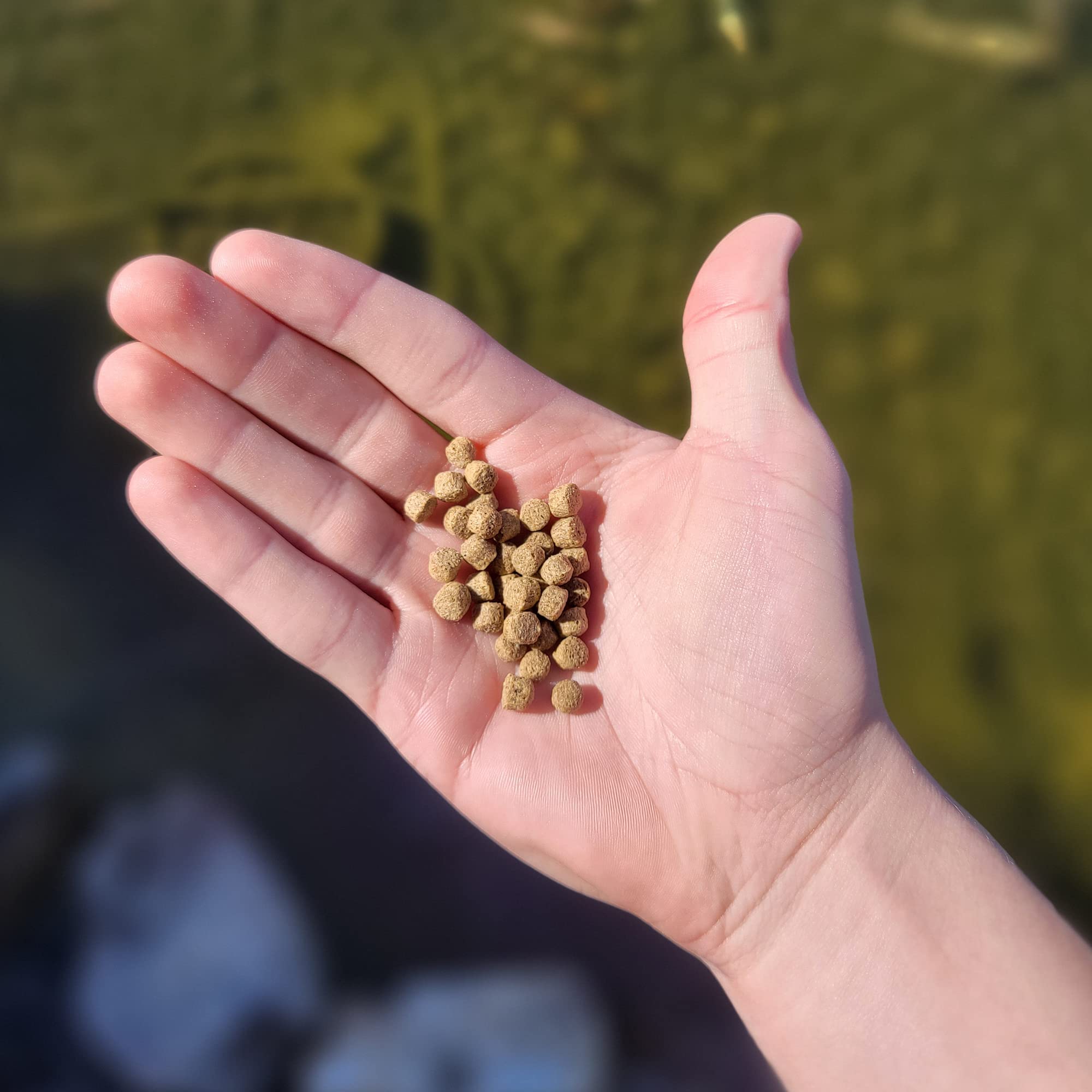 HALF OFF PONDS All Seasons bag label closeup highlighting low-phosphorus care for pond health