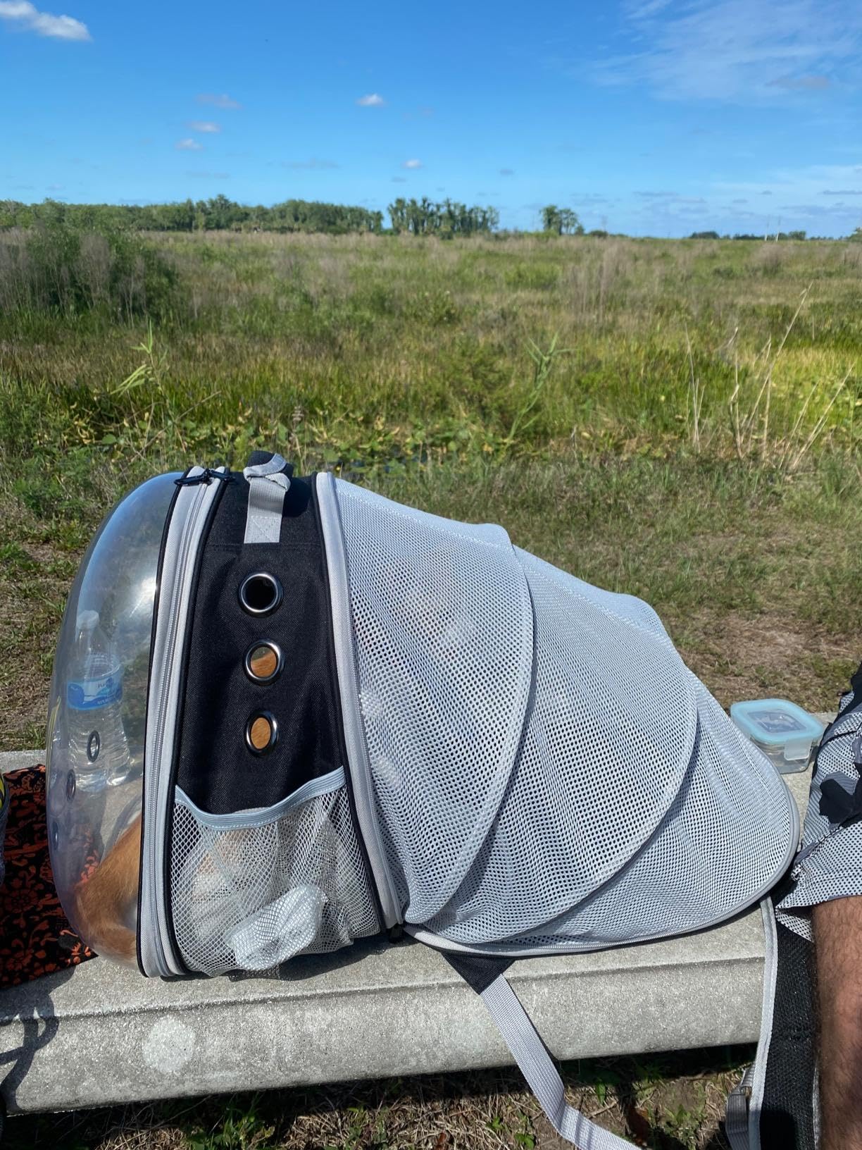 halinfer back expandable cat backpack airline approved design for easier travel