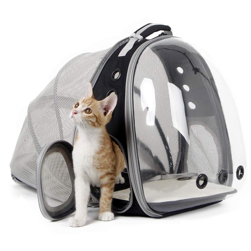 halinfer back expandable cat backpack front bubble view for curious pets on outings
