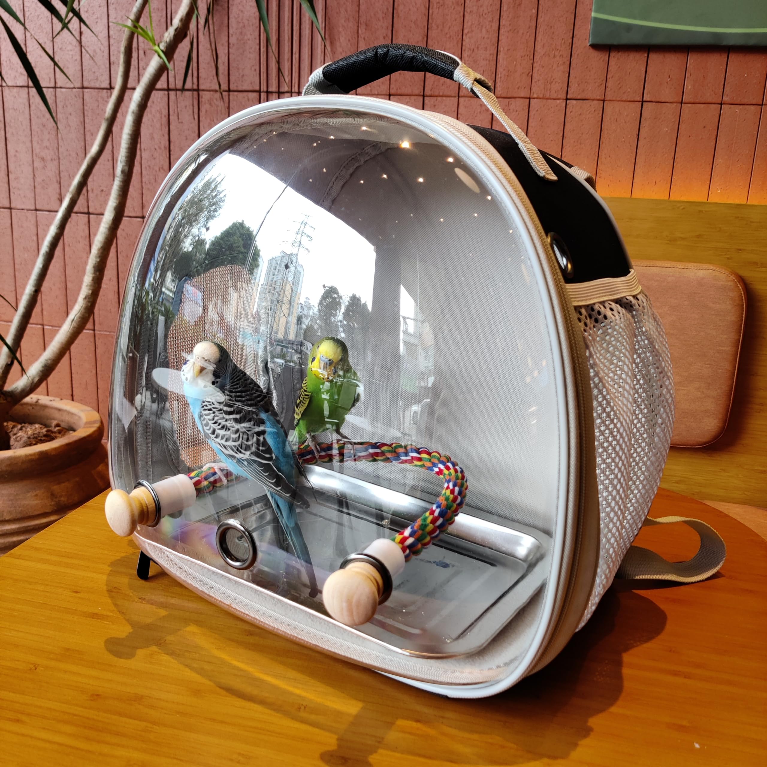 halinfer versatile carrier for birds and small pets during outings.