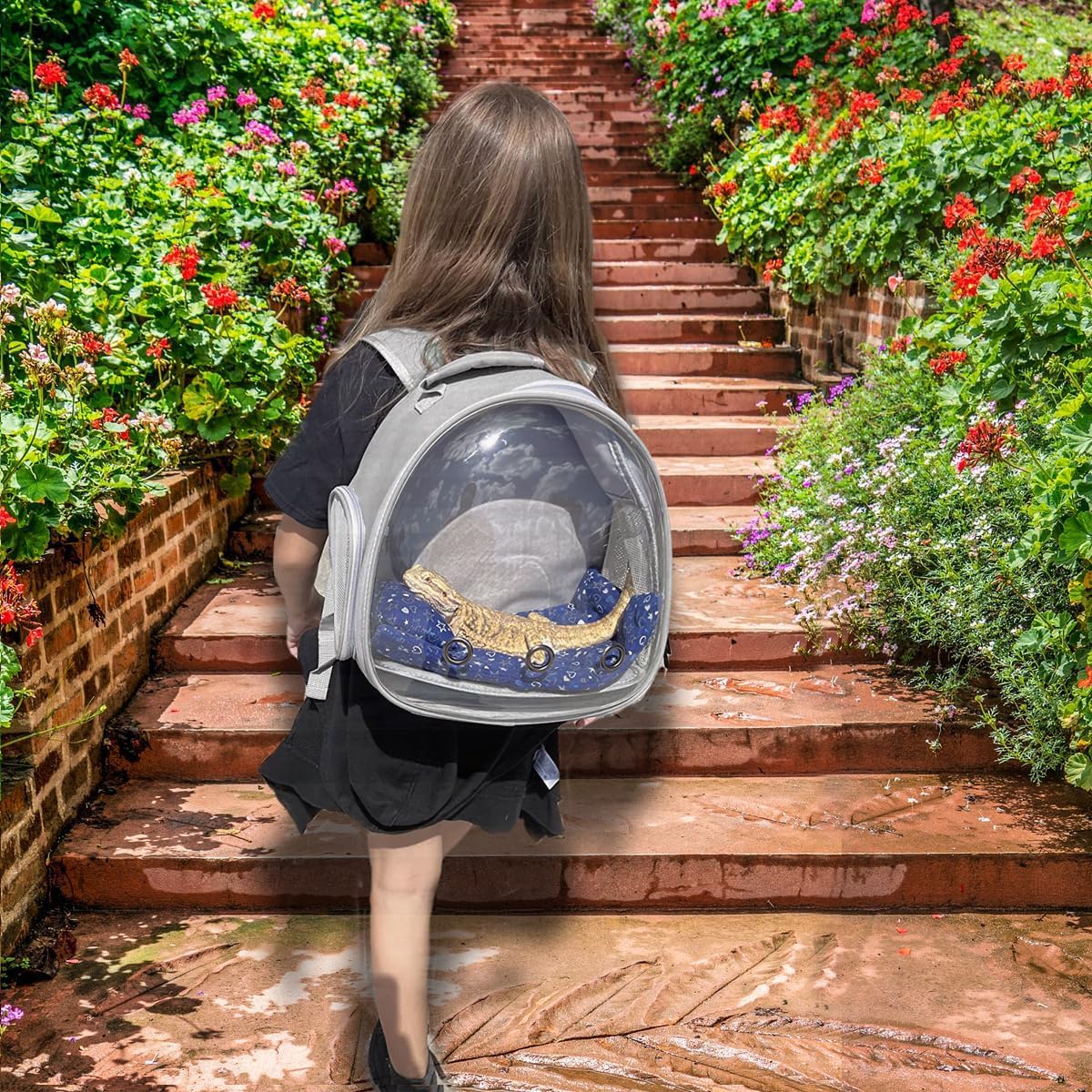 halinfer bearded dragon carrier offers a spacious interior for comfort.