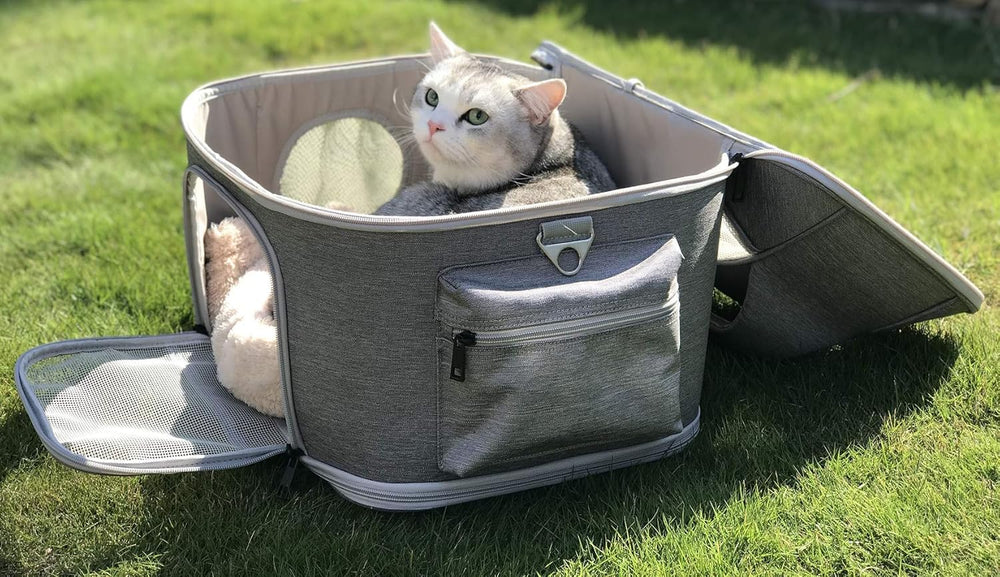 halinfer cat-puppy-carrier-side-pockets store leash and toys for convenient outings