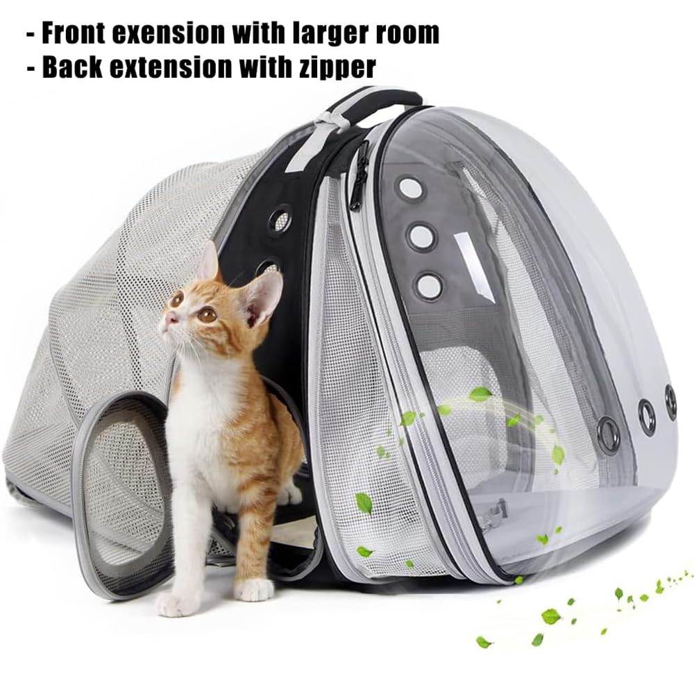 halinfer dual expandable cat backpack back view demonstrates slim profile and durability.
