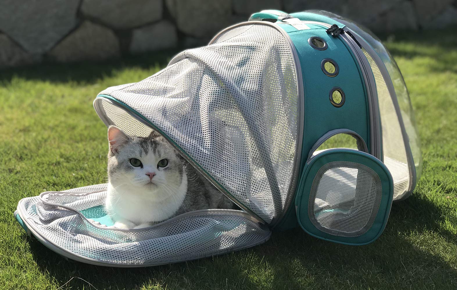 halinfer dual expandable cat backpack travel-ready design fits under seats.