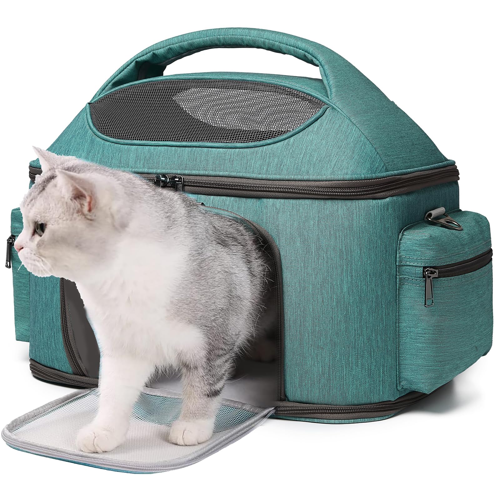 halinfer large-fat-cat-carrier inside-view shows roomy 20-lb capacity for travel comfort