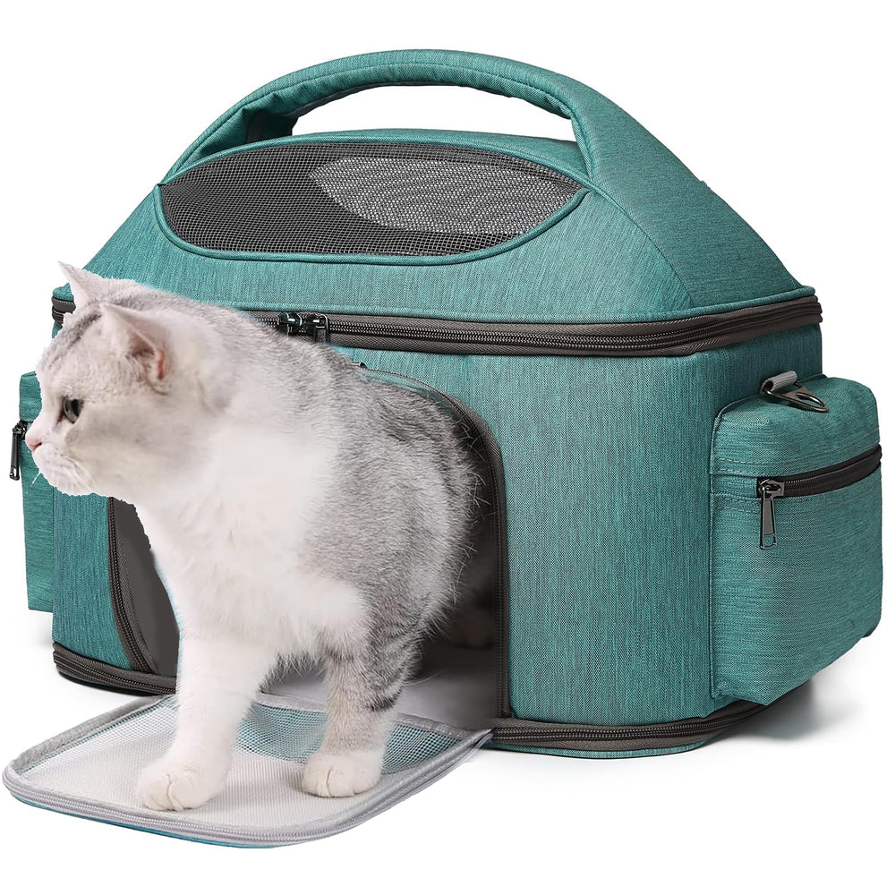 halinfer large-fat-cat-carrier inside-view shows roomy 20-lb capacity for travel comfort