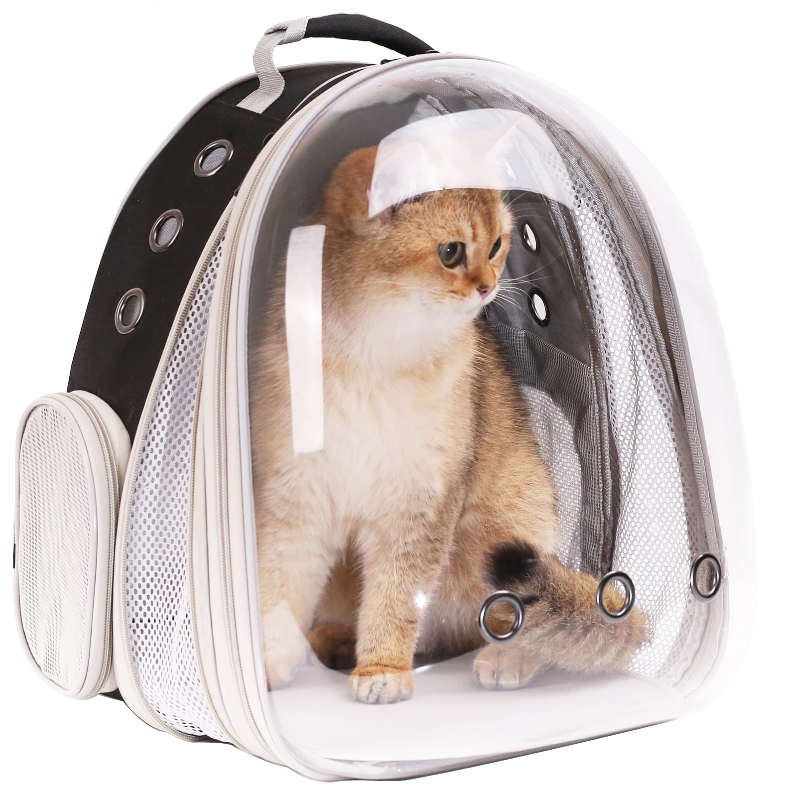 Halinfer compact 3-lb shell reduces bulk while protecting your pet.