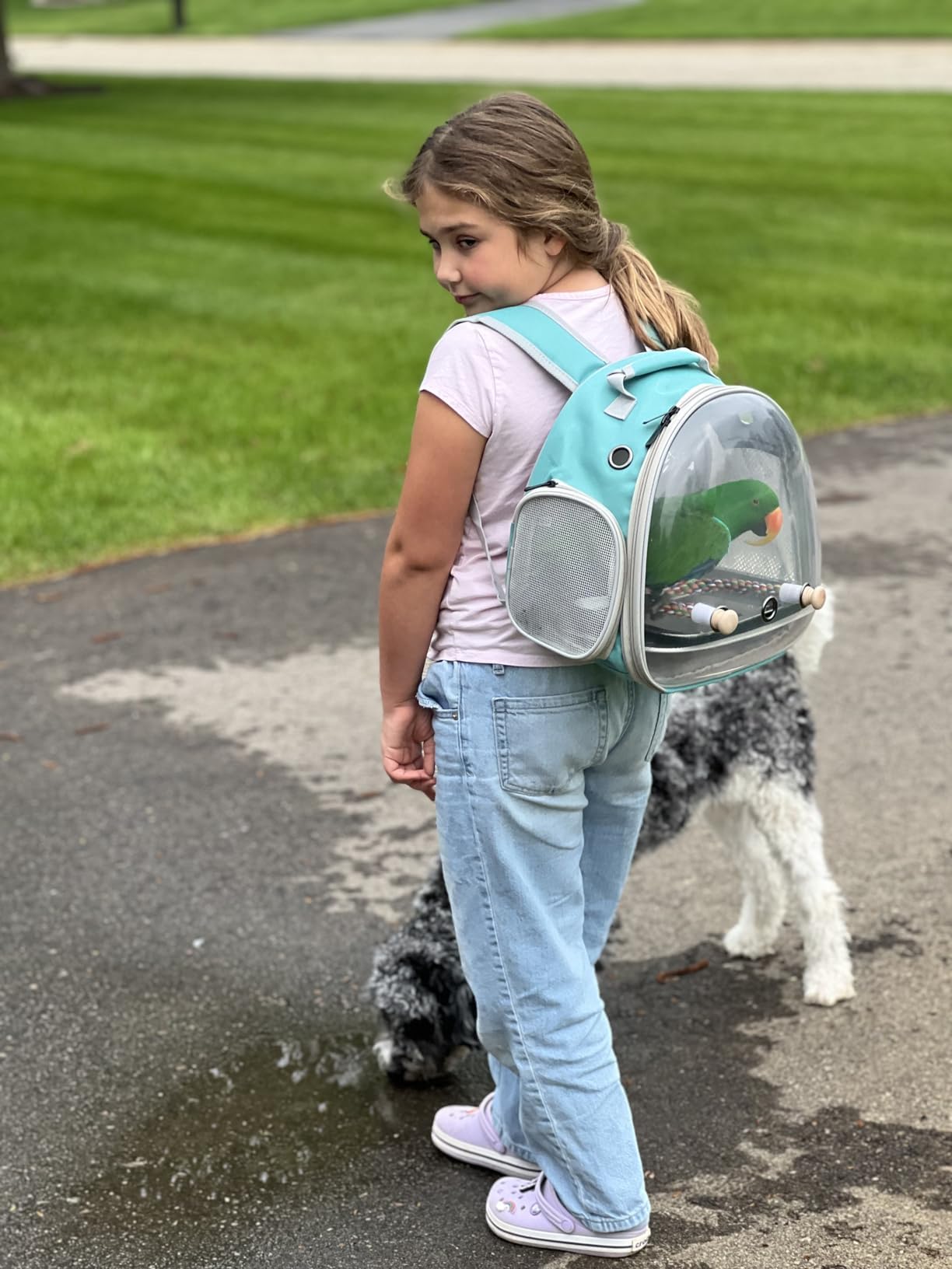 halinfer small bird travel backpack soft mat for cozy transport