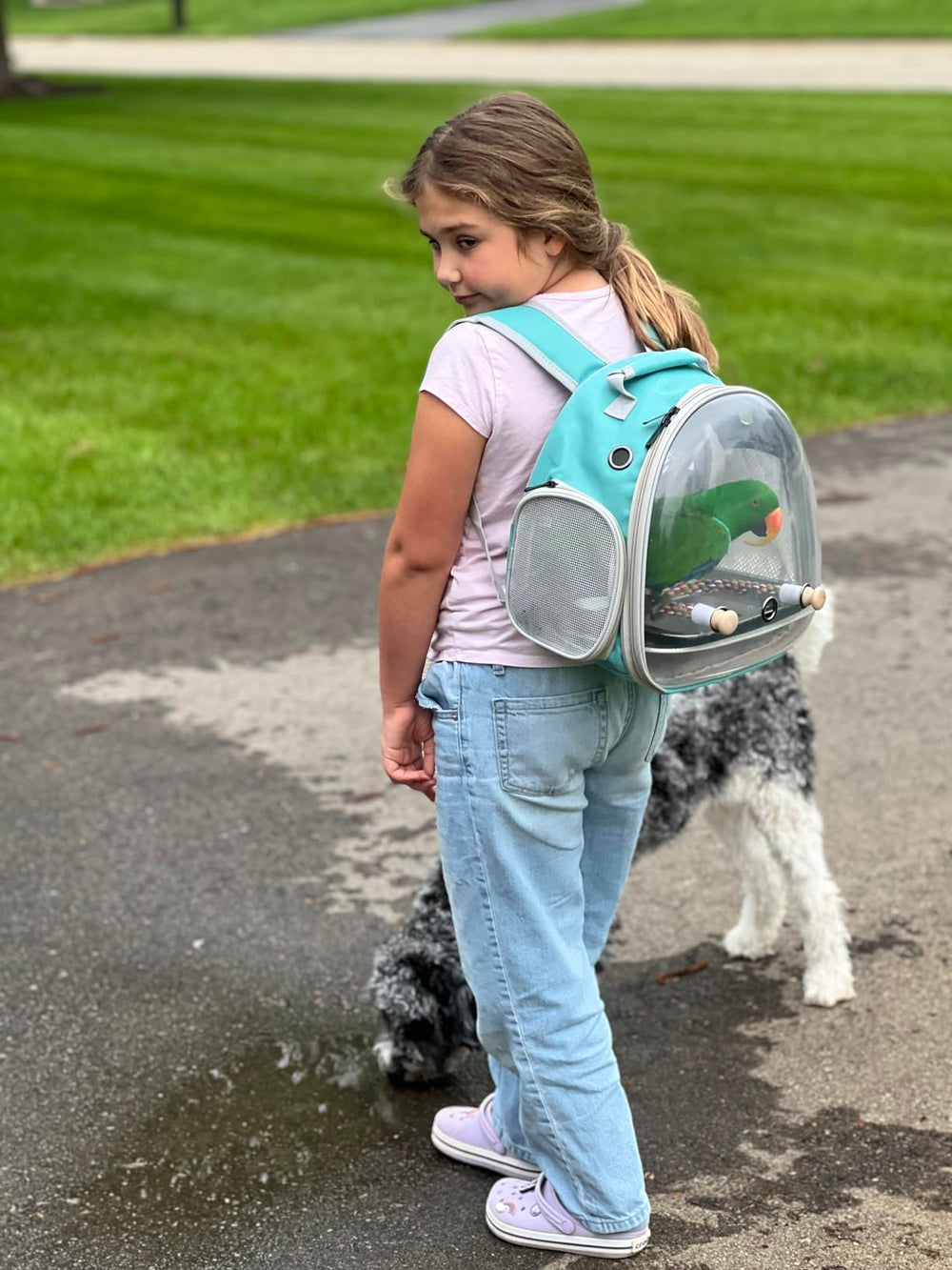 halinfer small bird travel backpack soft mat for cozy transport