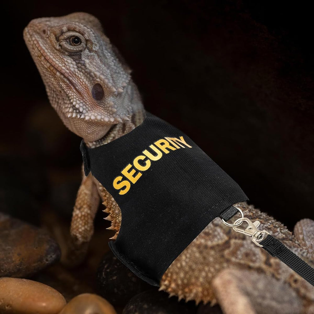 halinfer spacious interior accommodates a bearded dragon for travel and vet visits
