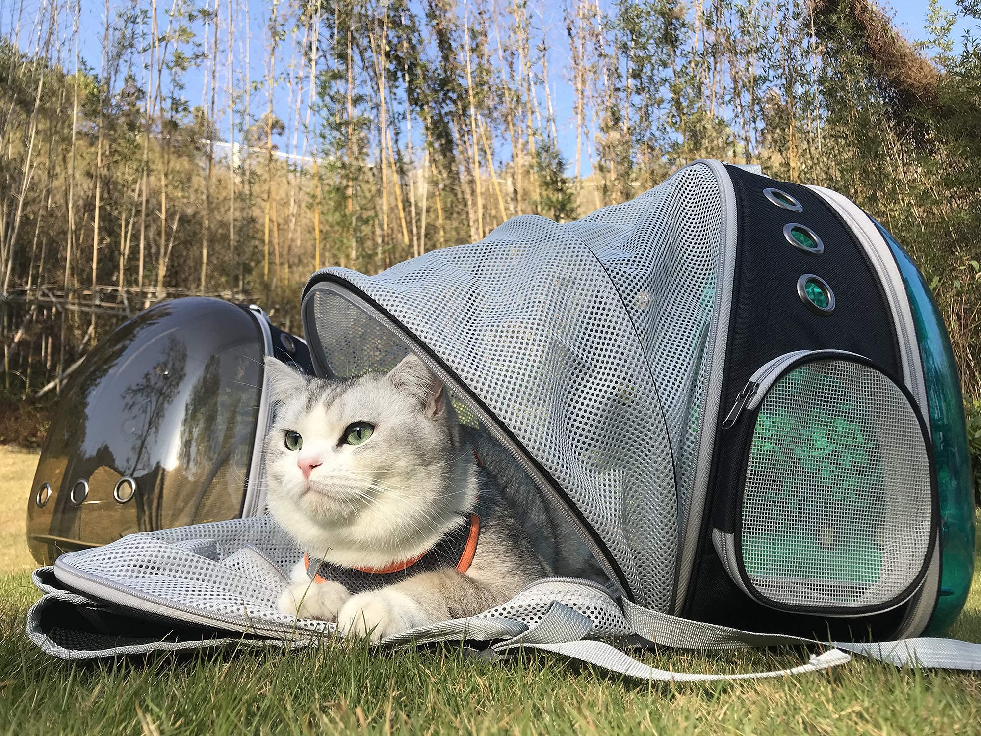 halinfer tinted blue cat backpack airline approved for travel and hiking