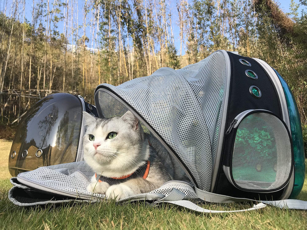 halinfer tinted blue cat backpack airline approved for travel and hiking