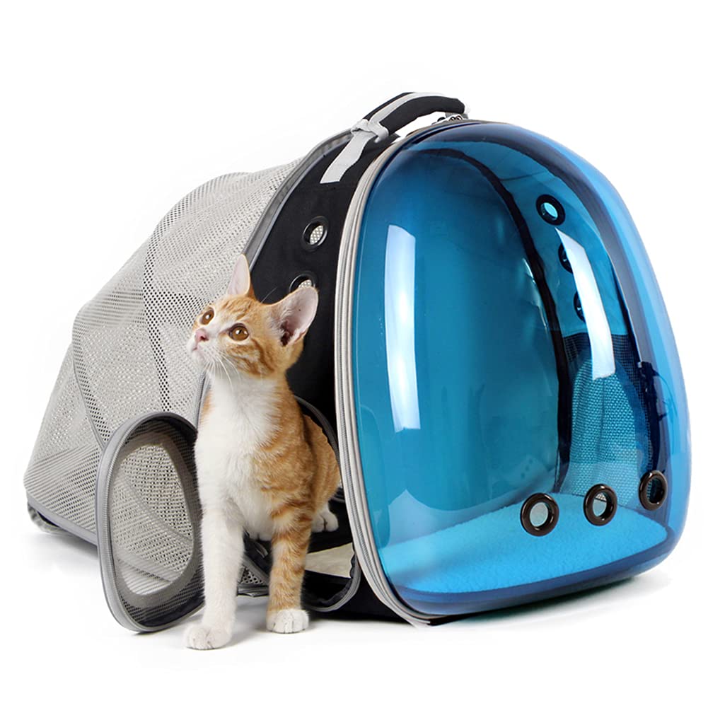 halinfer tinted blue cat backpack front view with polarized bubble shielding bright sun