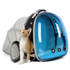 halinfer tinted blue cat backpack front view with polarized bubble shielding bright sun