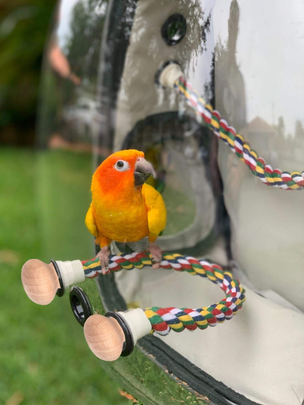 halinfer Velvet lined soft mat enhances bird comfort during travel.