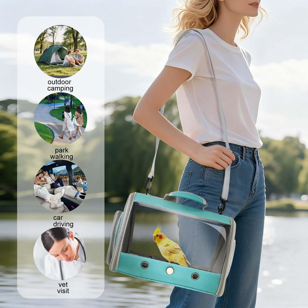 halinfer wooden perch inside travel carrier for stable perching during transport.