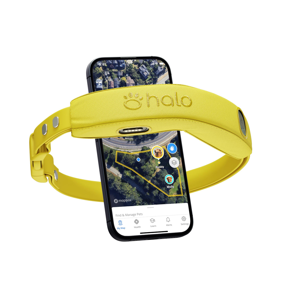 Halo Collar 4 GPS fence dashboard shows real-time boundaries for safe adventures.