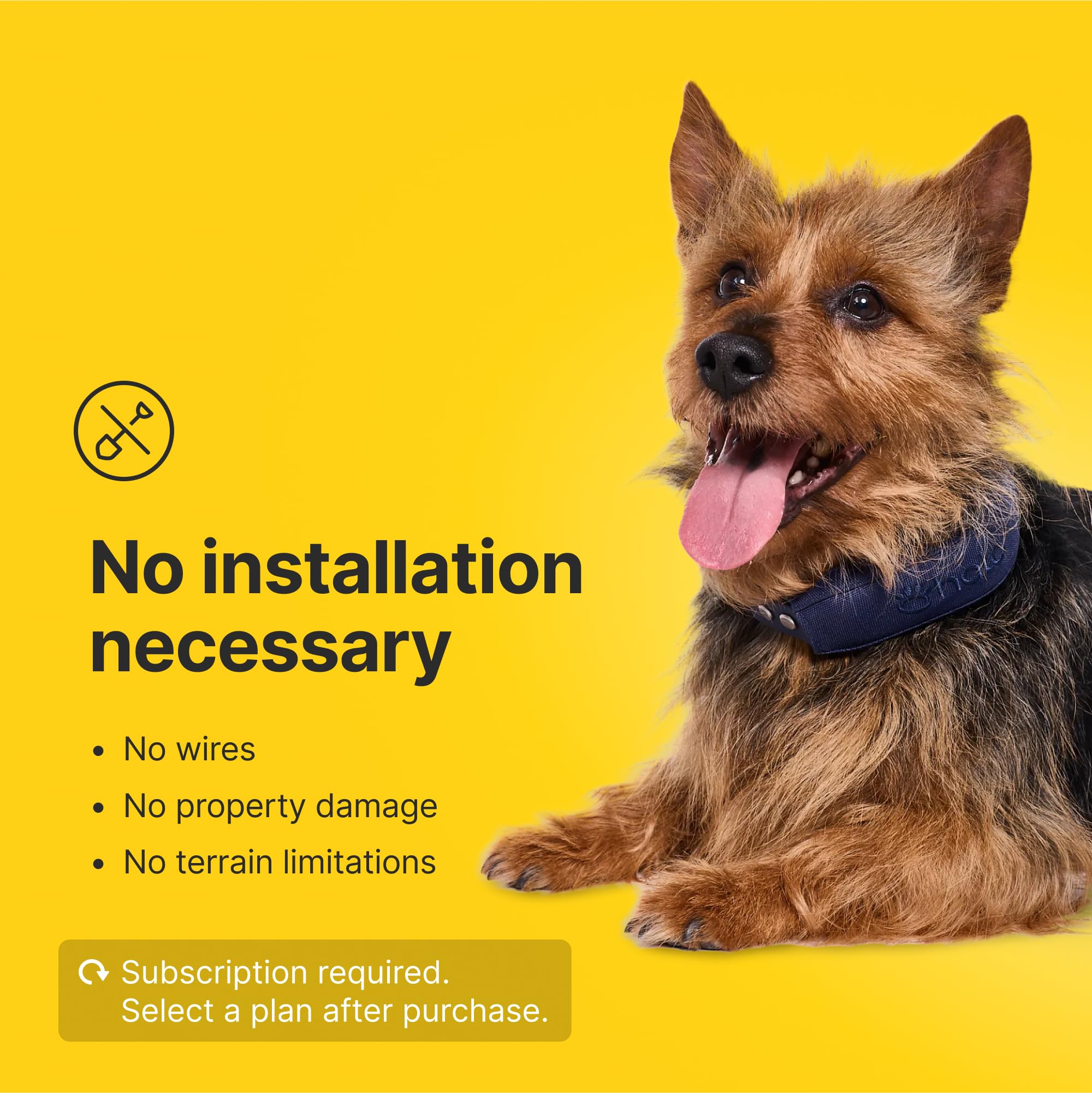 Halo Collar 4 battery life display hints at days between charges.