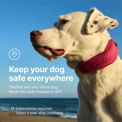Halo Collar 4 sunset outing emphasizes outdoor safety and boundary awareness.