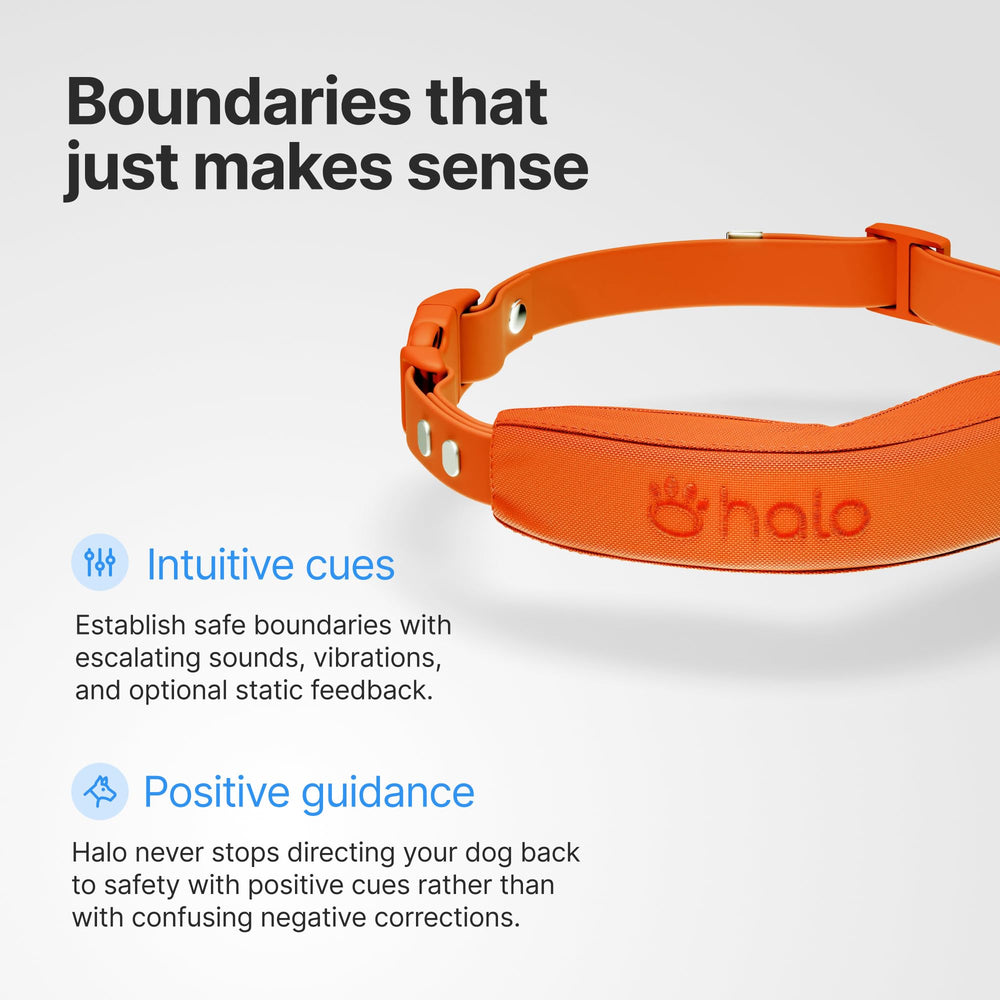 Halo Collar 5 battery life highlights up to 48 hours of real-time tracking